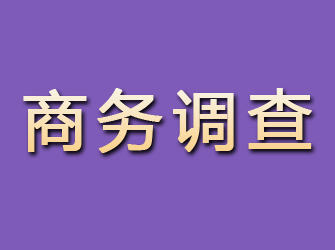 辉县商务调查